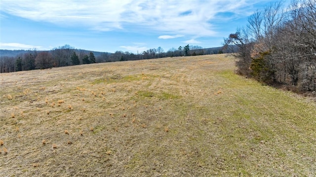 view of yard featuring a rural view