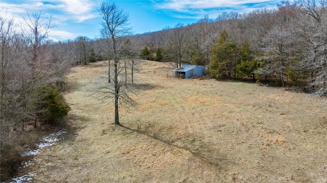 view of yard with an outbuilding and a view of trees