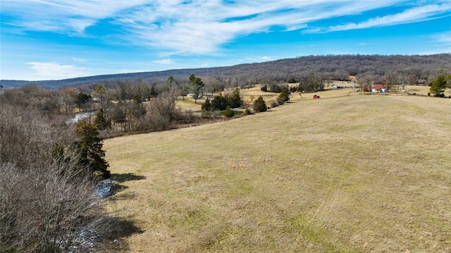 bird's eye view with a rural view