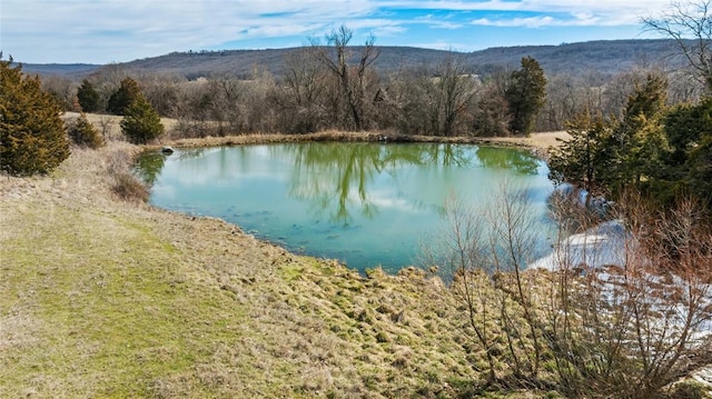 view of water feature featuring a view of trees