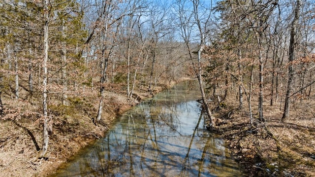 view of water feature with a forest view