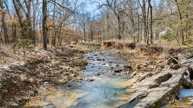 view of nature featuring a forest view