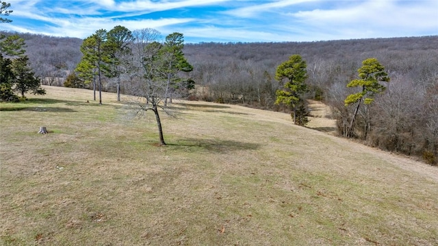 view of yard with a forest view