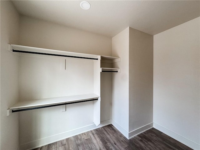 spacious closet featuring wood finished floors