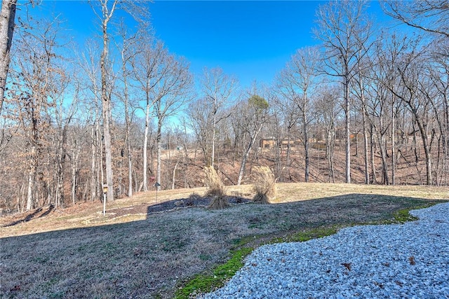 view of yard with a forest view