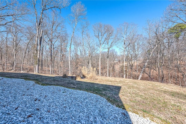 view of yard featuring a wooded view