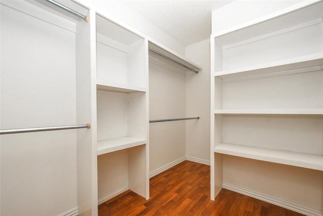 spacious closet featuring wood finished floors