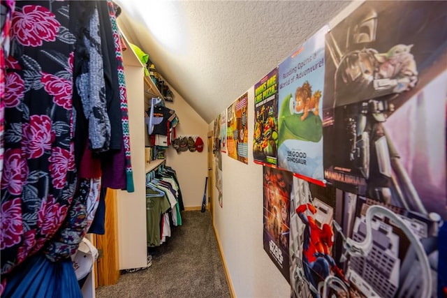 spacious closet featuring carpet and lofted ceiling