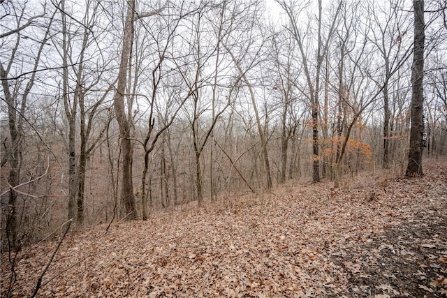 view of nature featuring a forest view