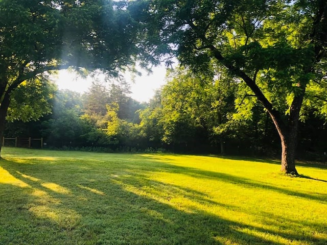 view of yard with a view of trees