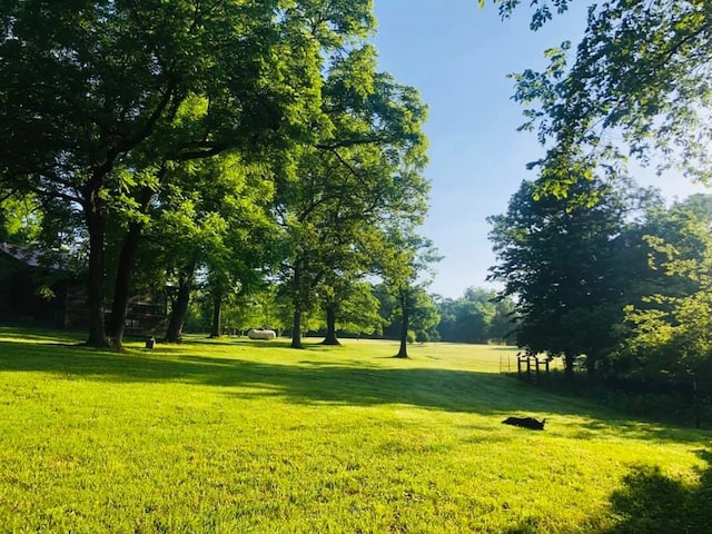 view of community with a yard