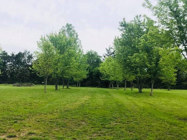 view of property's community with a yard