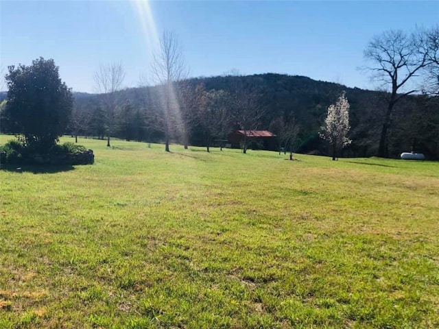 view of yard featuring a forest view and a rural view