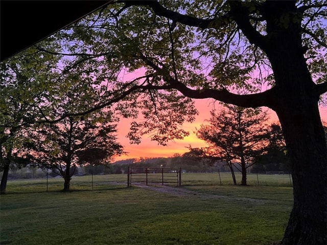 view of yard at dusk