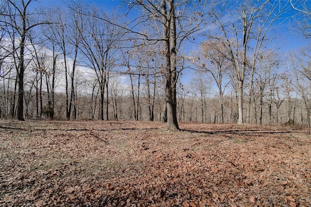 view of landscape