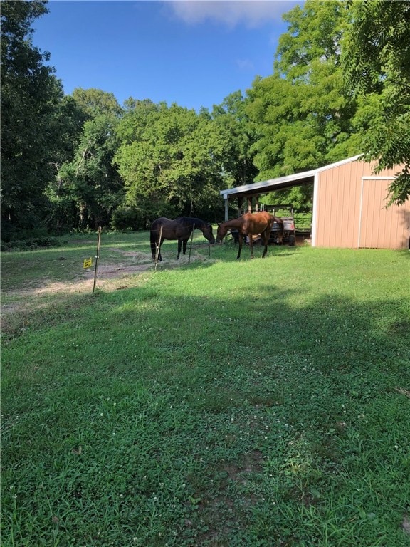 view of yard with an outbuilding