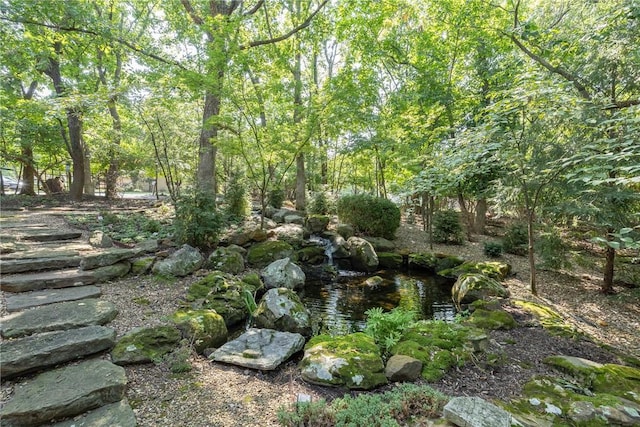 view of nature featuring a wooded view