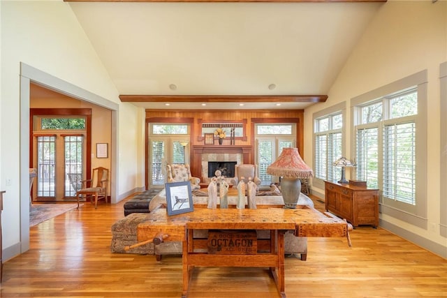 living room featuring plenty of natural light, light wood-type flooring, and a fireplace