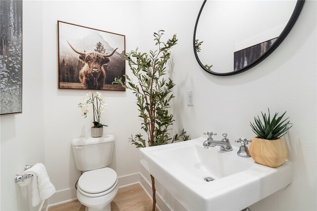 bathroom featuring toilet, a sink, baseboards, and wood finished floors