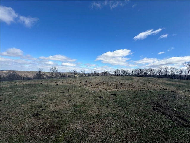 view of local wilderness featuring a rural view