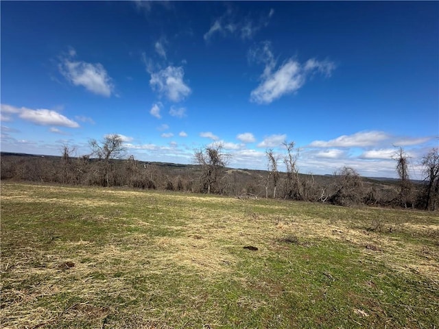 view of yard featuring a rural view