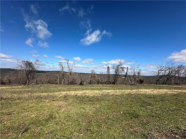 view of nature with a rural view