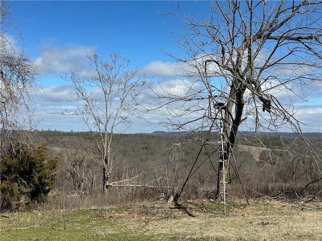 property view of mountains with a forest view