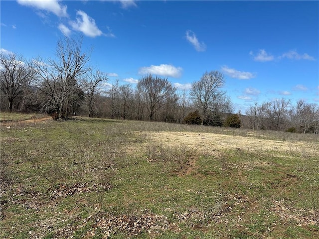 Listing photo 3 for TBD County Road 731, Berryville AR 72616