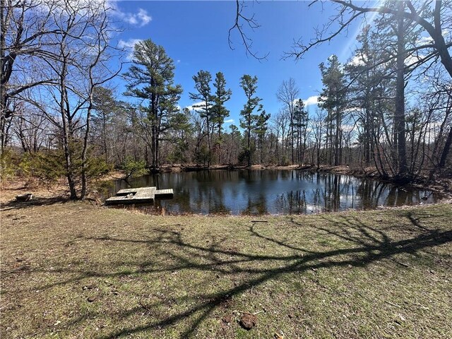 1548 County Road 731, Berryville, AR 72616 - photo 7