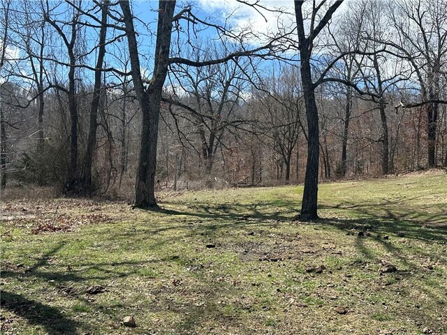1548 County Road 731, Berryville, AR 72616 - photo 10