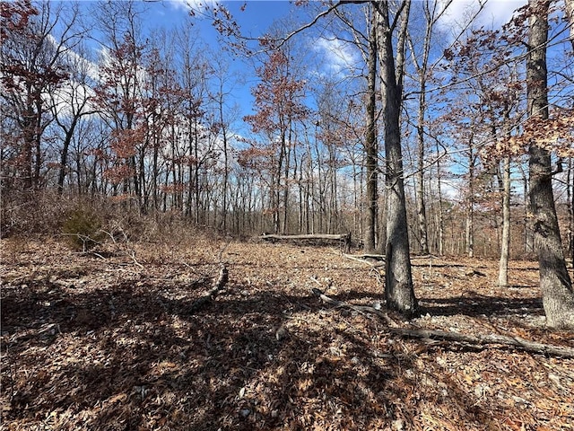1548 County Road 731, Berryville, AR 72616 - photo 2