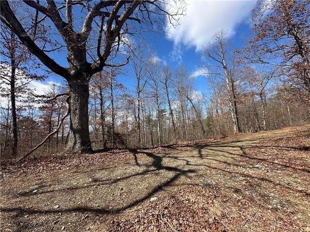 1548 County Road 731, Berryville, AR 72616 - photo 4