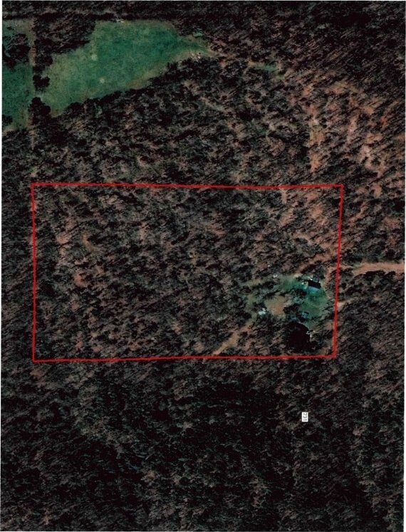 1548 County Road 731, Berryville, AR 72616 - photo 11