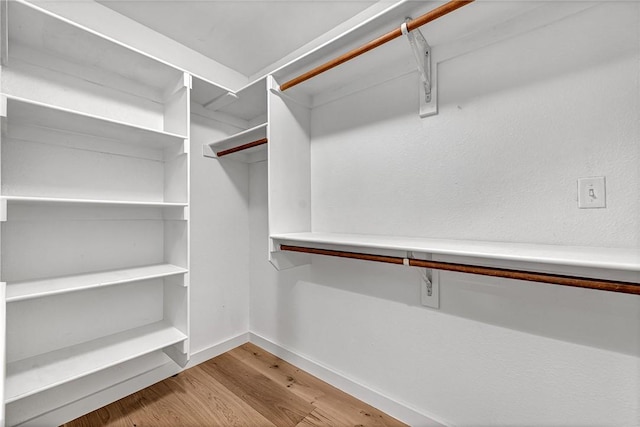 spacious closet featuring wood finished floors