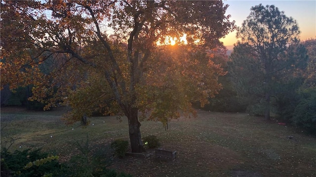 view of yard at dusk