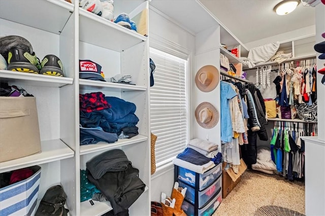 view of walk in closet