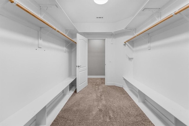 spacious closet featuring visible vents and carpet flooring