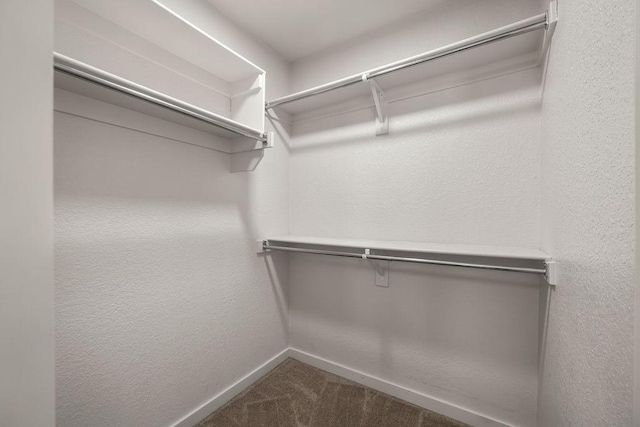 spacious closet with dark carpet