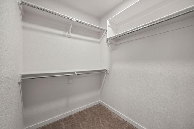 spacious closet featuring carpet