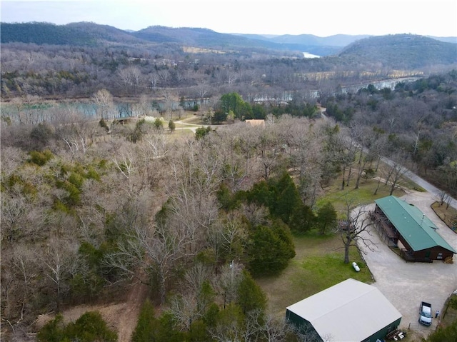 drone / aerial view featuring a mountain view and a wooded view