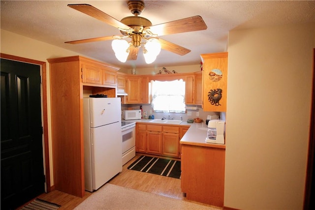 kitchen featuring white appliances, wood finished floors, light countertops, light brown cabinets, and a sink