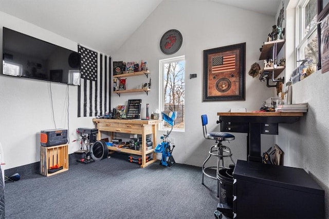 interior space with lofted ceiling and carpet