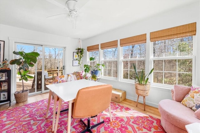 interior space with a healthy amount of sunlight and ceiling fan