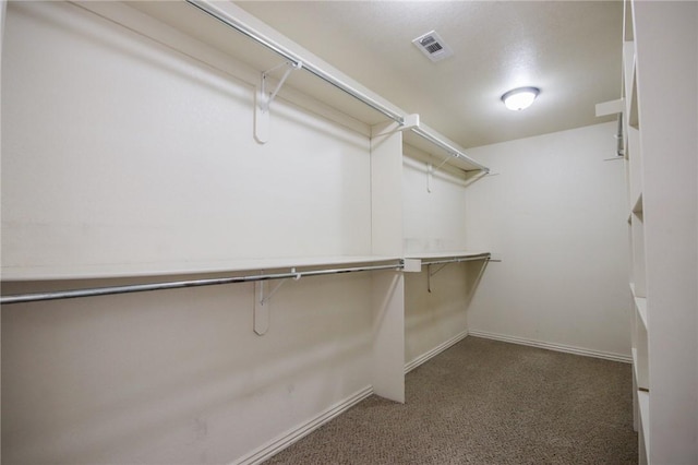 walk in closet featuring carpet and visible vents