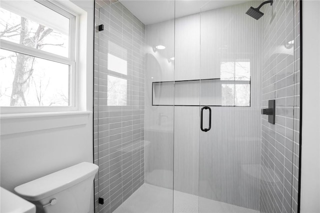 bathroom with a shower stall and toilet