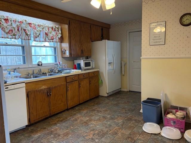 kitchen with wallpapered walls, white appliances, ceiling fan, light countertops, and a sink