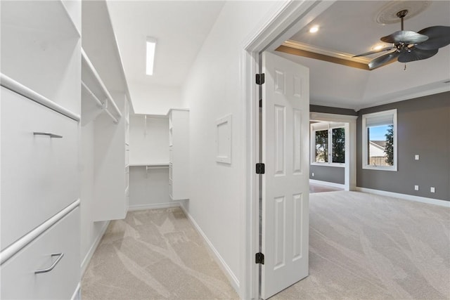 spacious closet featuring a raised ceiling and carpet flooring