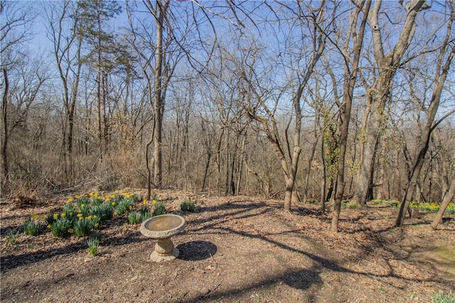 view of yard featuring a view of trees