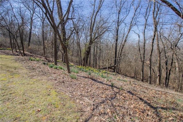 view of nature featuring a view of trees