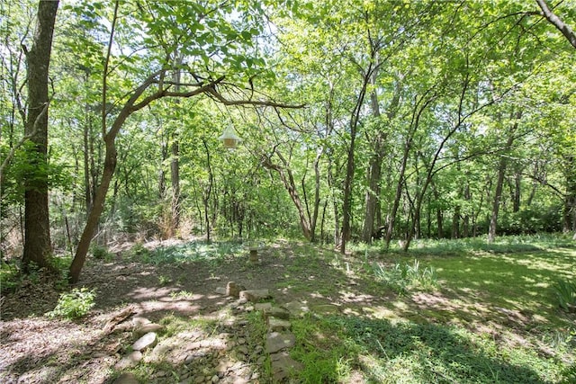 629 N Gray Ave, Fayetteville, AR 72701 - photo 38